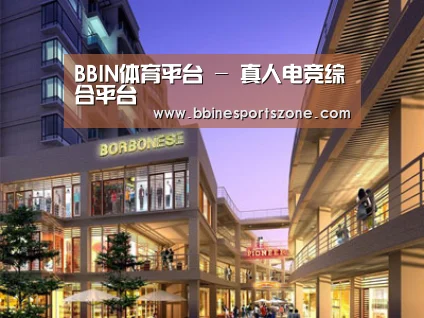 案例展示一(图1)